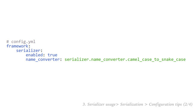 3. Serializer usage> Serialization > Configuration tips (2/4)
