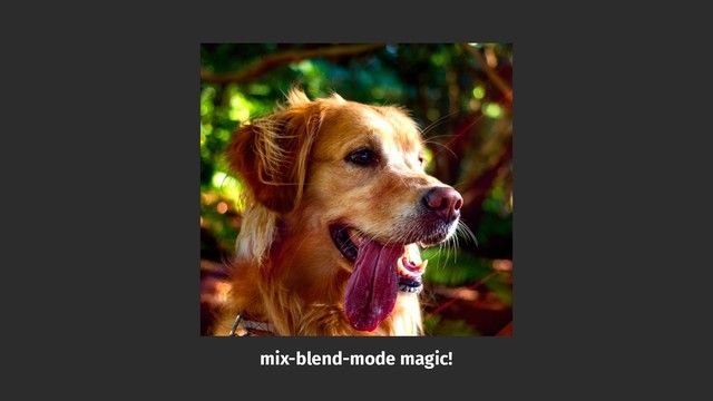 mix-blend-mode magic!
