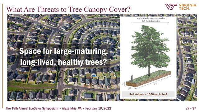 Source: stevekingonsustainability.blogspot.com, March 10 2013
Space for large-maturing,
long-lived, healthy trees?
The 18th Annual EcoSavvy Symposium • Alexandria, VA • February 19, 2022
What Are Threats to Tree Canopy Cover?
27  37
