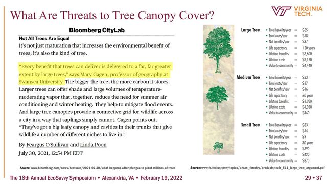 The 18th Annual EcoSavvy Symposium • Alexandria, VA • February 19, 2022
What Are Threats to Tree Canopy Cover?
Source: www.bloomberg.com/news/features/2021-07-30/what-happens-after-pledges-to-plant-millions-of-trees Source: www.fs.fed.us/psw/topics/urban_forestry/products/cufr_511_large_tree_argument.pdf
29  37
