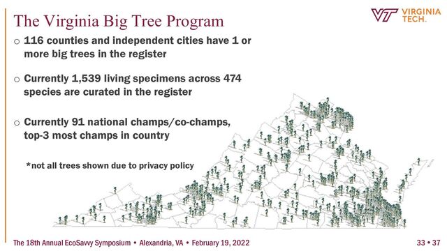 o 116 counties and independent cities have 1 or
more big trees in the register
o Currently 1,539 living specimens across 474
species are curated in the register
o Currently 91 national champs/co-champs,
top-3 most champs in country
*not all trees shown due to privacy policy
The 18th Annual EcoSavvy Symposium • Alexandria, VA • February 19, 2022
The Virginia Big Tree Program
33  37
