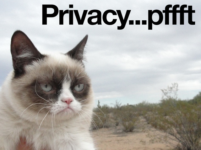 Privacy...pffft
