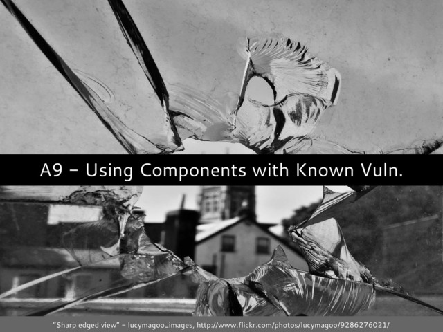 A9 - Using Components with Known Vuln.
“Sharp edged view” - lucymagoo_images, http://www.flickr.com/photos/lucymagoo/9286276021/

