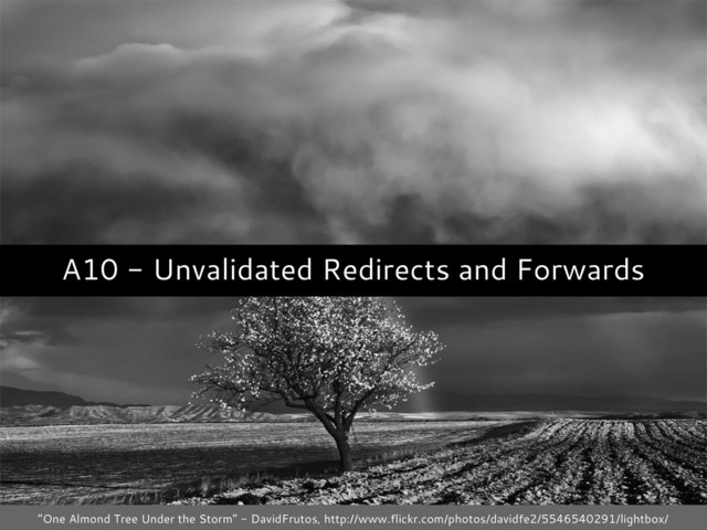 A10 - Unvalidated Redirects and Forwards
“One Almond Tree Under the Storm” - DavidFrutos, http://www.flickr.com/photos/davidfe2/5546540291/lightbox/
