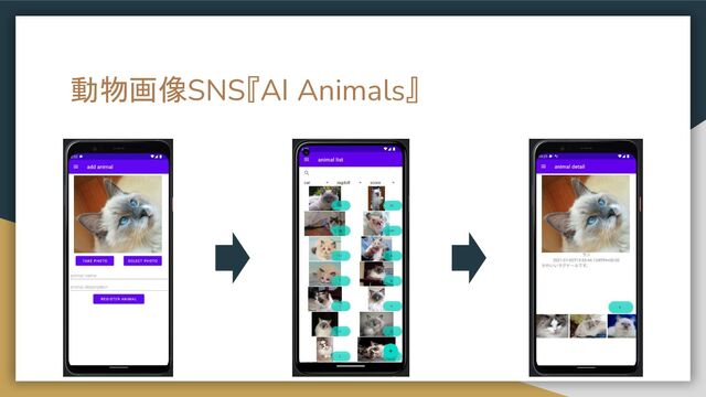 動物画像SNS『AI Animals』
