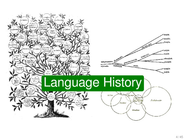 Language History
Language History
4 / 45
