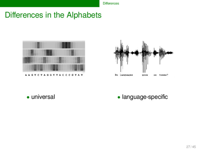 Diﬀerences
Diﬀerences in the Alphabets
• universal • language-speciﬁc
27 / 45
