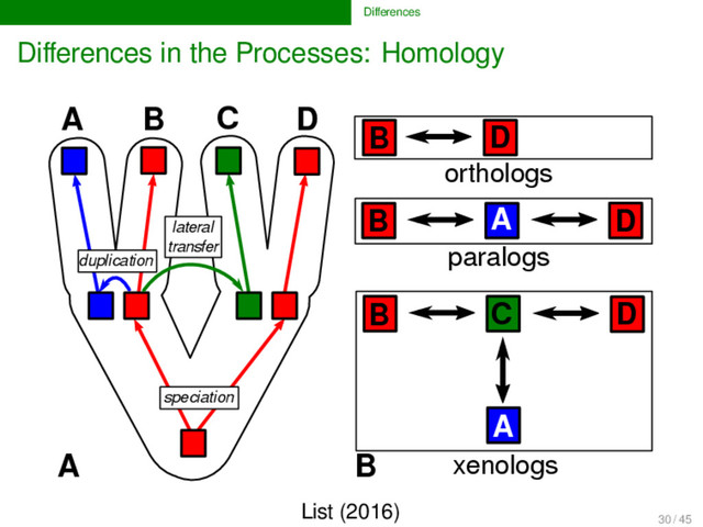 Diﬀerences
Diﬀerences in the Processes: Homology
B
A C D
duplication
speciation
lateral
transfer
D
D
orthologs
paralogs
xenologs
B
C
D
B
A
A
B
A B
List (2016)
30 / 45
