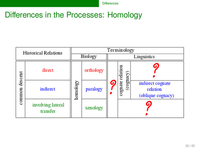 Diﬀerences
Diﬀerences in the Processes: Homology
Historical Relations
Terminology
Biology Linguistics
common descent
direct
homology
orthology
cognacy....
?
oblique
cognacy
indirect paralogy
involving lateral
transfer
xenology ?
Linguistics
indirect cognate
relation
(oblique cognacy)
cognate relation
(cognacy)
?
?
?
30 / 45
