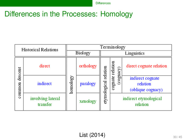 Diﬀerences
Diﬀerences in the Processes: Homology
Historical Relations
Terminology
Biology Linguistics
common descent
direct
homology
orthology
cognacy....
?
oblique
cognacy
indirect paralogy
involving lateral
transfer
xenology ?
Linguistics
direct cognate relation
etymological relation
indirect cognate
relation
(oblique cognacy)
indirect etymological
relation
cognate relation
(cognacy)
List (2014)
30 / 45
