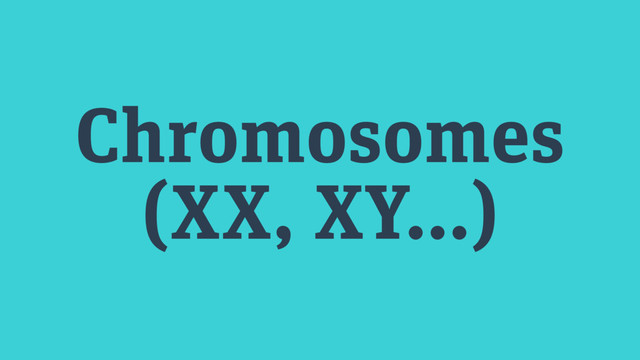 Chromosomes
(XX, XY…)
