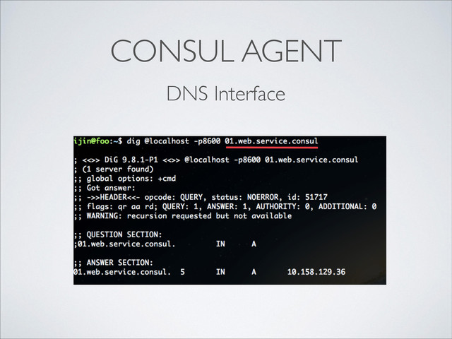 CONSUL AGENT
DNS Interface
