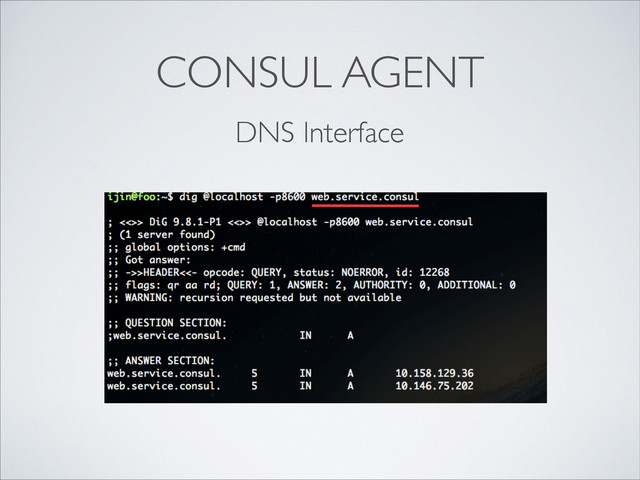 CONSUL AGENT
DNS Interface
