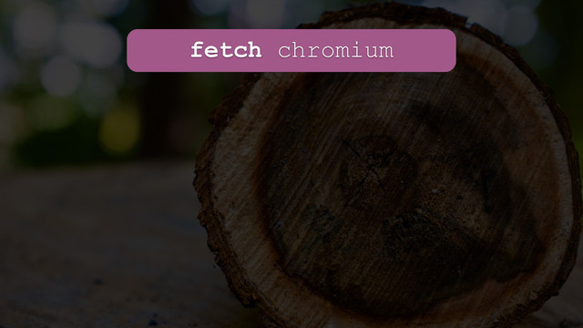 fetch chromium
