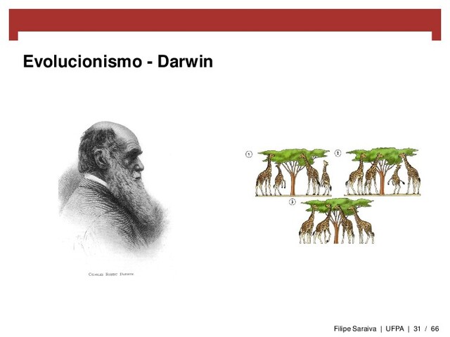Evolucionismo - Darwin
Filipe Saraiva | UFPA | 31 / 66
