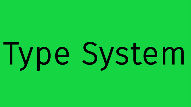Type System
