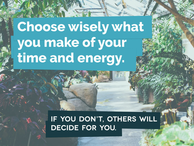 Choose wisely what 
you make of your  
time and energy.
if you don’t, others will
decide for you.
Photo : Annie Spratt

