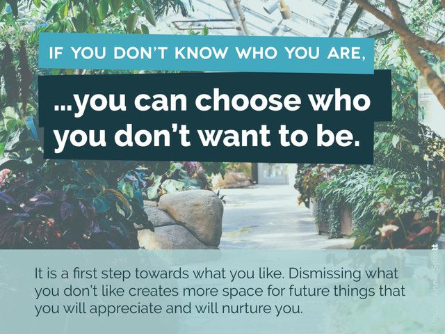 …you can choose who
you don’t want to be.
if you don’t know who you are,
Photo : Annie Spratt
It is a ﬁrst step towards what you like. Dismissing what
you don’t like creates more space for future things that
you will appreciate and will nurture you.
