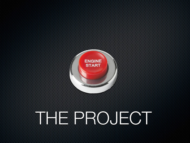 THE PROJECT
