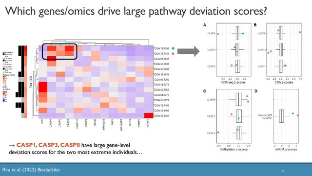 Which genes/omics drive large pathway deviation scores?
11
→ CASP1, CASP3, CASP8 have large gene-level
deviation scores for the two most extreme individuals…
Rau et al. (2022) Biostatistics
