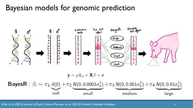 15
Bayesian models for genomic prediction
Erbe et al. (2012) Journal of Dairy Science; Kemper et al. (2015) Genetics Selection Evolution
