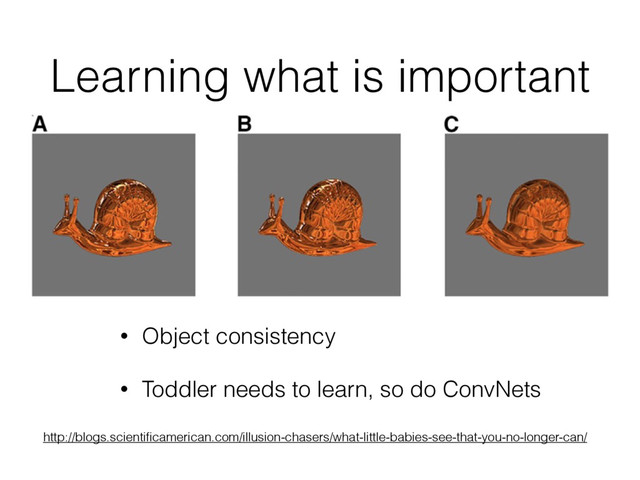 Learning what is important
• Object consistency
• Toddler needs to learn, so do ConvNets
http://blogs.scientiﬁcamerican.com/illusion-chasers/what-little-babies-see-that-you-no-longer-can/
