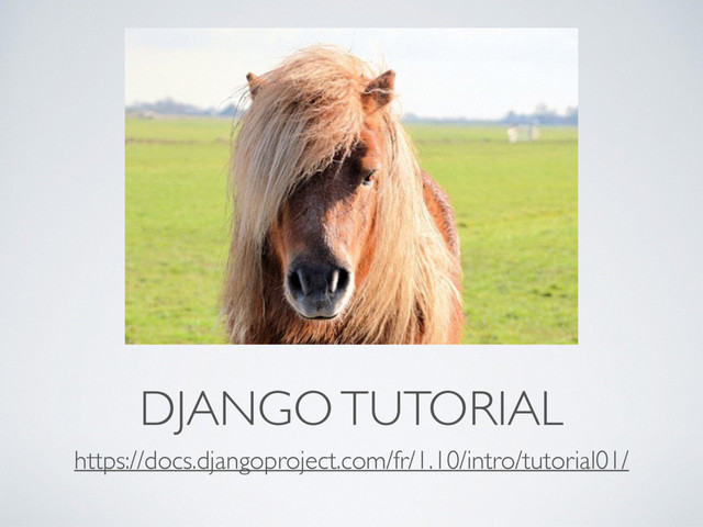 DJANGO TUTORIAL
https://docs.djangoproject.com/fr/1.10/intro/tutorial01/
