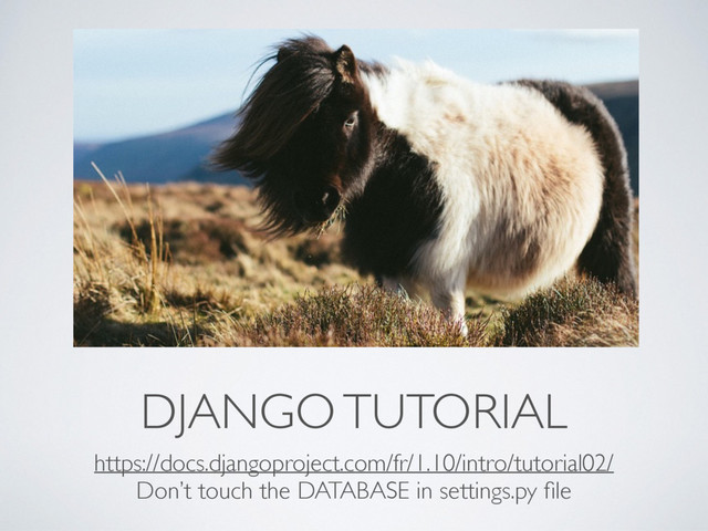 DJANGO TUTORIAL
https://docs.djangoproject.com/fr/1.10/intro/tutorial02/
Don’t touch the DATABASE in settings.py ﬁle
