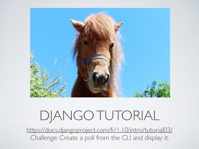 DJANGO TUTORIAL
https://docs.djangoproject.com/fr/1.10/intro/tutorial03/
Challenge: Create a poll from the CLI and display it.
