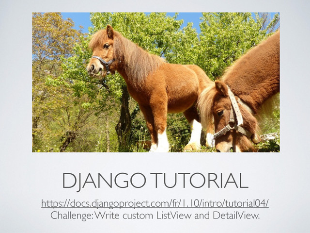 DJANGO TUTORIAL
https://docs.djangoproject.com/fr/1.10/intro/tutorial04/
Challenge: Write custom ListView and DetailView.
