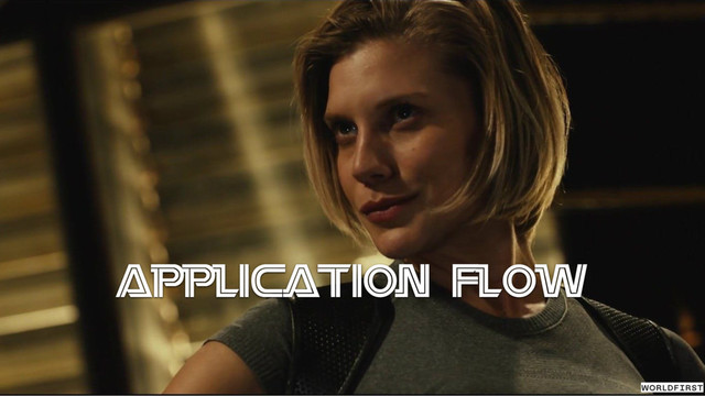 Application Flow
