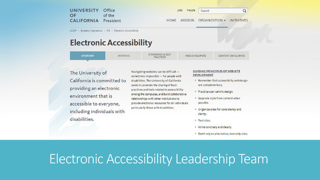 Electronic Accessibility Leadership Team
