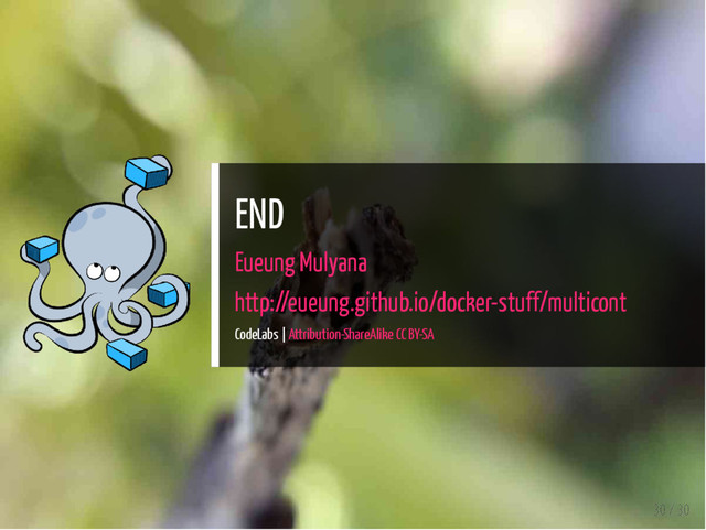END
Eueung Mulyana
http://eueung.github.io/docker-stuff/multicont
CodeLabs | Attribution-ShareAlike CC BY-SA
30 / 30
