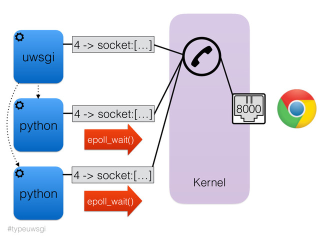 #typeuwsgi
uwsgi
Kernel
4 -> socket:[…]
8000
python
python
4 -> socket:[…]
4 -> socket:[…]
epoll_wait()
epoll_wait()
