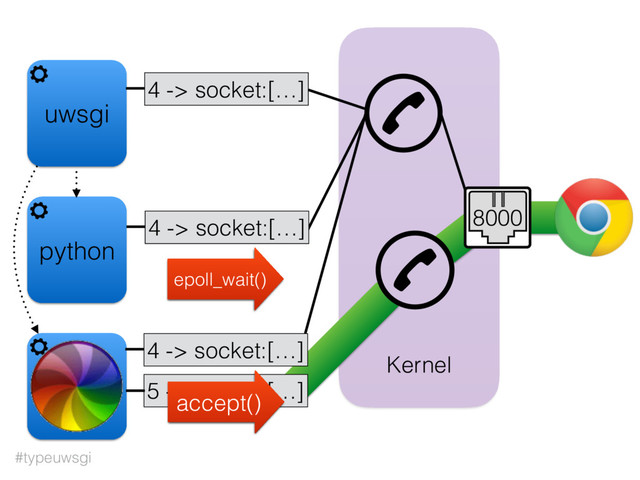 #typeuwsgi
uwsgi
Kernel
4 -> socket:[…]
8000
python
python
4 -> socket:[…]
4 -> socket:[…]
accept()
epoll_wait()
5 -> socket:[…]
epoll_wait()
accept()
