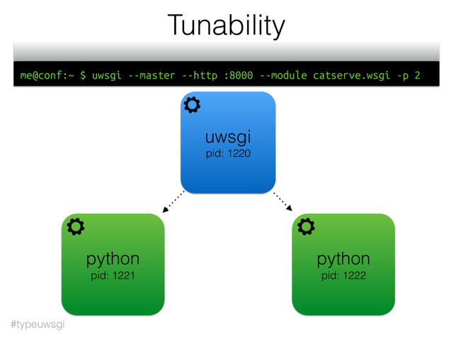 #typeuwsgi
Tunability
uwsgi
pid: 1220
python
pid: 1221
python
pid: 1222
me@conf:~ $ uwsgi --master --http :8000 --module catserve.wsgi -p 2
