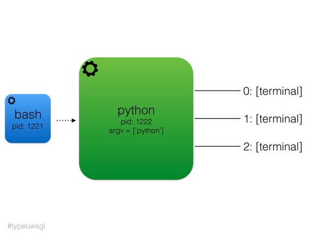 #typeuwsgi
python
pid: 1222
argv = [‘python’]
0: [terminal]
1: [terminal]
2: [terminal]
bash
pid: 1221
