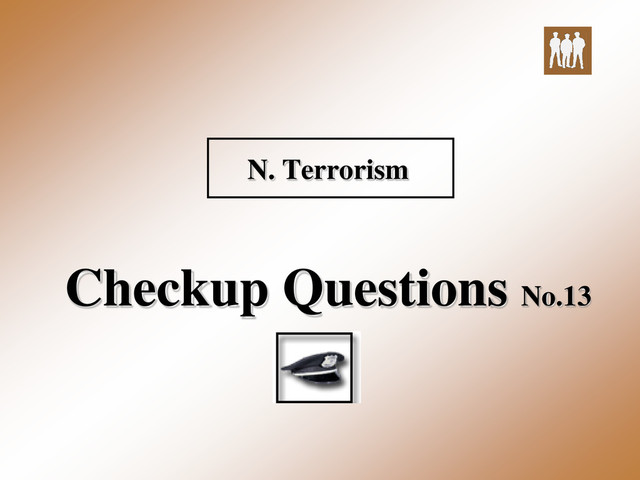 N. Terrorism
Checkup Questions No.13
