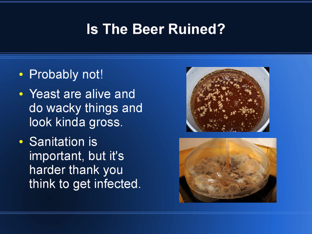 Is The Beer Ruined?
●
Probably not!
●
Yeast are alive and
do wacky things and
look kinda gross.
●
Sanitation is
important, but it's
harder thank you
think to get infected.
