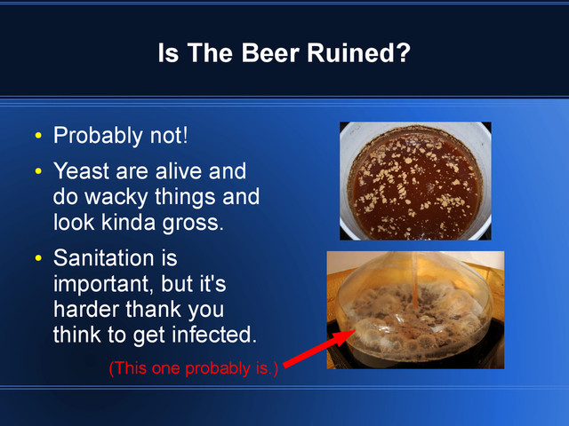 Is The Beer Ruined?
●
Probably not!
●
Yeast are alive and
do wacky things and
look kinda gross.
●
Sanitation is
important, but it's
harder thank you
think to get infected.
(This one probably is.)
