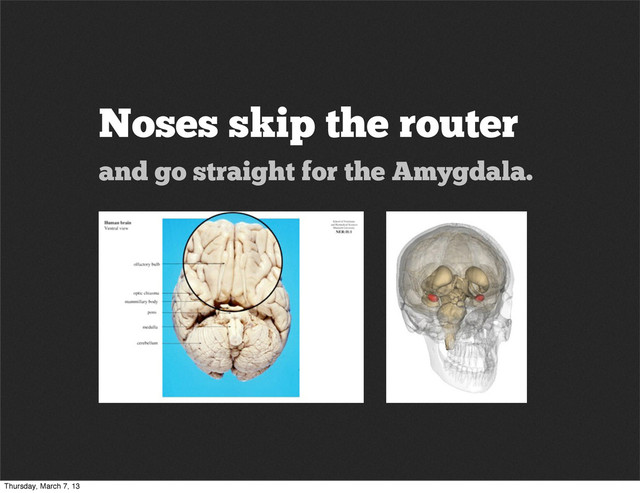 Noses skip the router
and go straight for the Amygdala.
Thursday, March 7, 13
