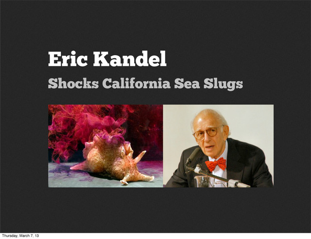 Eric Kandel
Shocks California Sea Slugs
Thursday, March 7, 13
