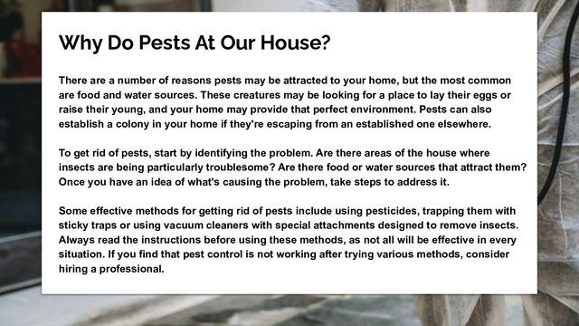 Why Do Pests At Our House?
There are a number of reasons pests may be attracted to your home, but the most common
are food and water sources. These creatures may be looking for a place to lay their eggs or
raise their young, and your home may provide that perfect environment. Pests can also
establish a colony in your home if they're escaping from an established one elsewhere.
To get rid of pests, start by identifying the problem. Are there areas of the house where
insects are being particularly troublesome? Are there food or water sources that attract them?
Once you have an idea of what's causing the problem, take steps to address it.
Some effective methods for getting rid of pests include using pesticides, trapping them with
sticky traps or using vacuum cleaners with special attachments designed to remove insects.
Always read the instructions before using these methods, as not all will be effective in every
situation. If you find that pest control is not working after trying various methods, consider
hiring a professional.
