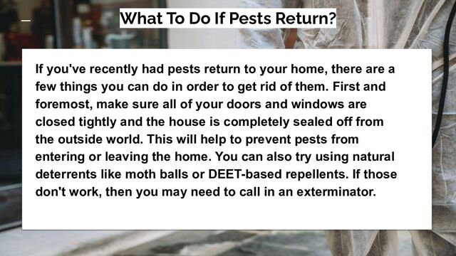 What To Do If Pests Return?
If you've recently had pests return to your home, there are a
few things you can do in order to get rid of them. First and
foremost, make sure all of your doors and windows are
closed tightly and the house is completely sealed off from
the outside world. This will help to prevent pests from
entering or leaving the home. You can also try using natural
deterrents like moth balls or DEET-based repellents. If those
don't work, then you may need to call in an exterminator.
