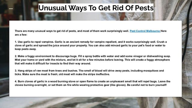 Unusual Ways To Get Rid Of Pests
There are many unusual ways to get rid of pests, and most of them work surprisingly well. Pest Control Melbourne Here
are a few:
1. Use garlic to repel vampires. Garlic is an ancient remedy for vampire repellent, and it works surprisingly well. Crush a
clove of garlic and spread the juice around your property. You can also add minced garlic to your pet's food or water to
keep pests away.
2. Make a foggy environment to discourage bugs. Fill a spray bottle with water and add some vinegar or dishwashing soap.
Mist your home or yard with the mixture, and let it sit for a few minutes before leaving. This will create a foggy atmosphere
that will make it difficult for insects to find their way around.
3. Hang strips of raw meat from trees and bushes. The smell of blood will drive away pests, including mosquitoes and
ticks. Make sure the meat is fresh; old meat will make the strips ineffective.
4. Burn cloves of garlic in a wood burning stove or open flame to create an unpleasant smell that will repel bugs. Leave the
cloves burning overnight, or set them on fire while wearing protective gear (like gloves). Be careful not to burn yourself!
