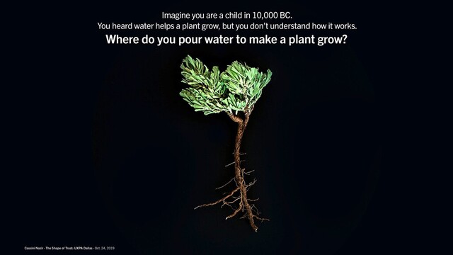 Cassini Nazir · The Shape of Trust
Where do you pour water to make a plant grow?
Cassini Nazir · The Shape of Trust: UXPA Dallas · Oct. 24, 2019
Imagine you are a child in 10,000 BC.
You heard water helps a plant grow, but you don’t understand how it works.
