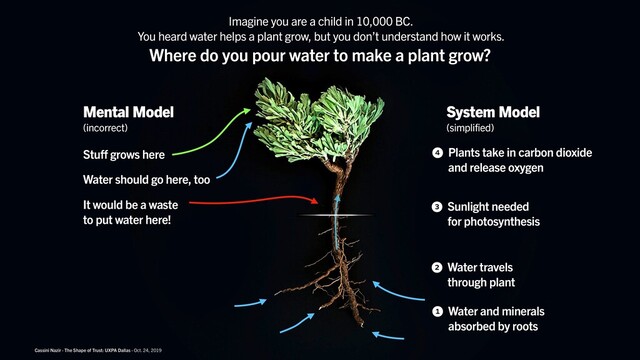 Cassini Nazir · The Shape of Trust
1 Water and minerals
absorbed by roots
System Model
(simplified)
2 Water travels
through plant
3 Sunlight needed
for photosynthesis
4 Plants take in carbon dioxide
and release oxygen
Where do you pour water to make a plant grow?
Stuff grows here
It would be a waste
to put water here!
Water should go here, too
Mental Model
(incorrect)
Cassini Nazir · The Shape of Trust: UXPA Dallas · Oct. 24, 2019
Imagine you are a child in 10,000 BC.
You heard water helps a plant grow, but you don’t understand how it works.
