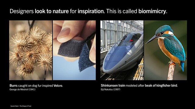 Cassini Nazir · The Shape of Trust
Shinkansen train modeled after beak of kingfisher bird.
George de Mestral (1941) Eiji Nakatsu (1997)
Designers look to nature for inspiration. This is called biomimicry.
Burrs caught on dog fur inspired Velcro.
