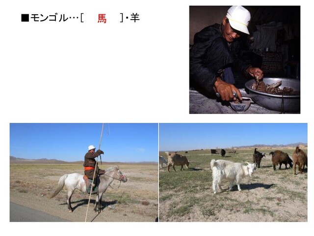 ■モンゴル…［ ］・羊
馬
