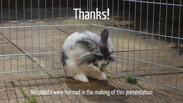 No rabbits were harmed in the making of this presentation
Thanks!

